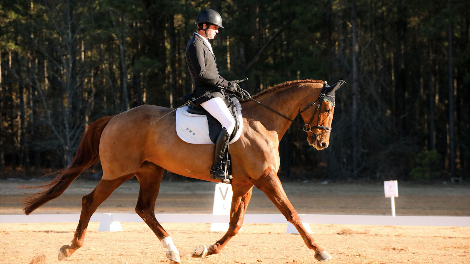 Woodstock Eventing Woodstock Eventing Horses Move Up the Levels at