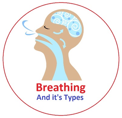 breathing, types of breathing , There are basically three types of breathing:1) Thoracic breathing (mid chest), 2) Clavicular breathing (upper chest/throat, collarbone area), 3) Diaphragmatic breathing (belly, abdomen)