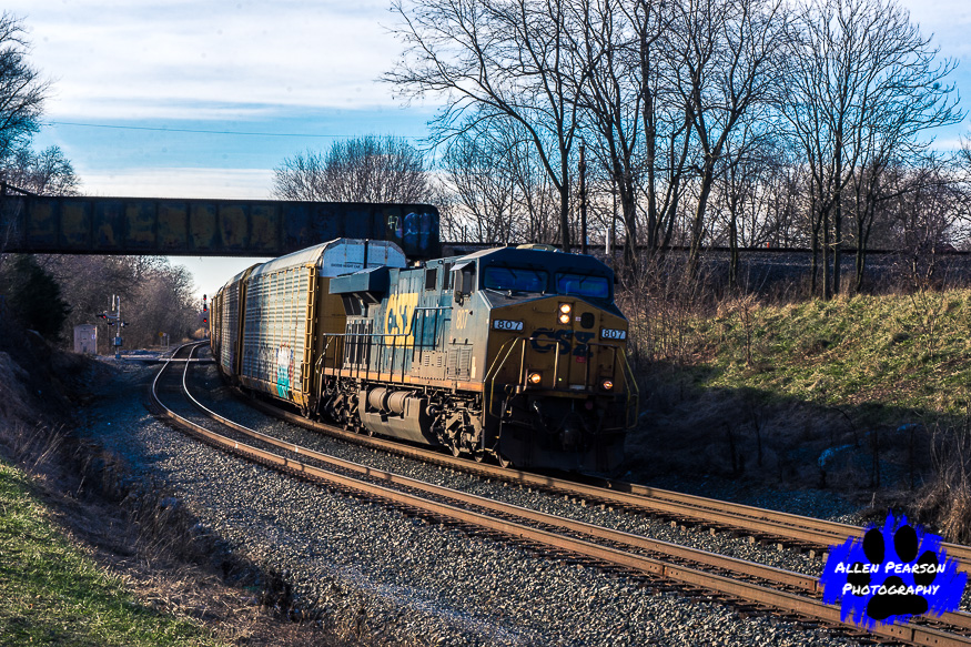 Meet the Train Dog! Railfanning at it's Best! from the Dog's Paw A