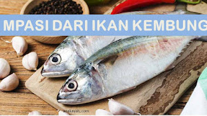 Menu MPASI Bayi usia 6 bulan. Bubur beras dan ikan kembung