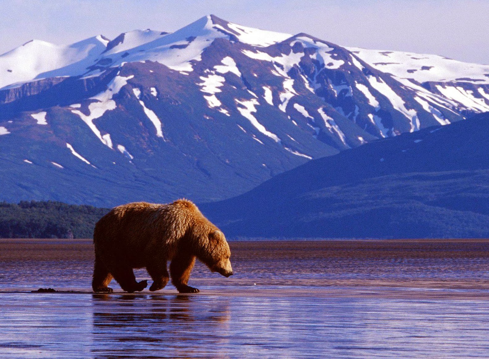 Tourism World Alaska State Of USA Tourism World Alaska State Of USA