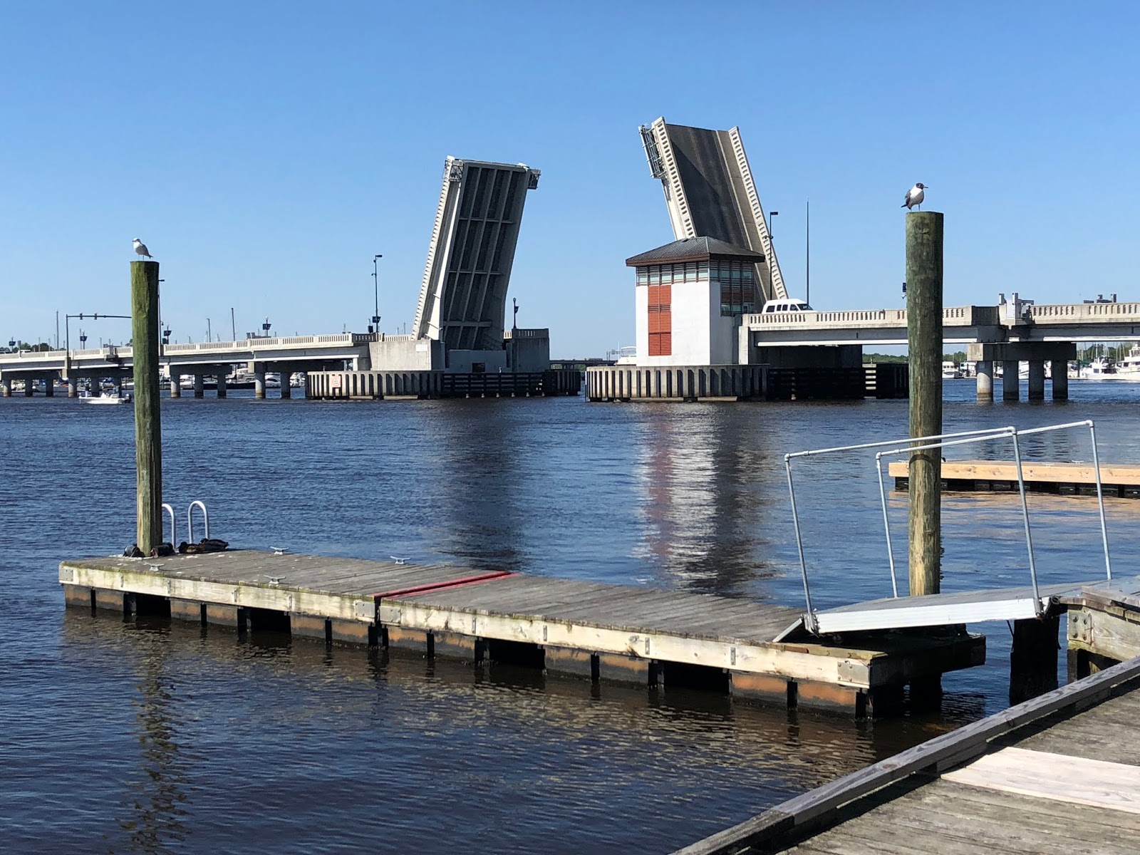 A Visit to Union Point Park in New Bern NC