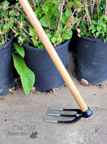 A grub hoe garden tool in front of several potted plants