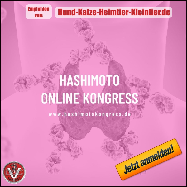 Https Www Praeventionstag De Html Download Cms Id 503 Datei Katalog 21 Web 503 Pdf