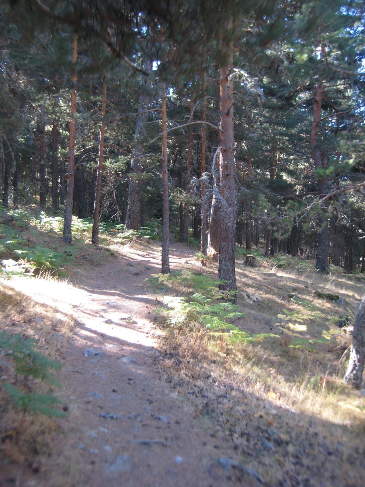 segobike La Barranca