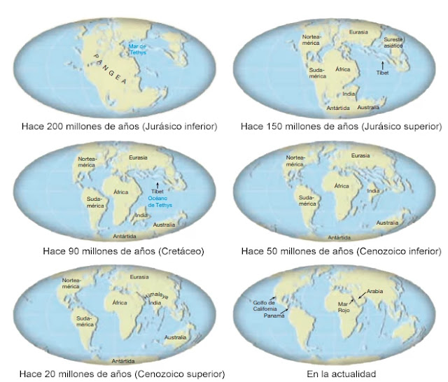 Proceso de fragmentación del súper continente Pangea