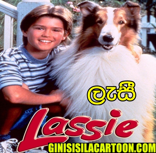 Lassie - 23