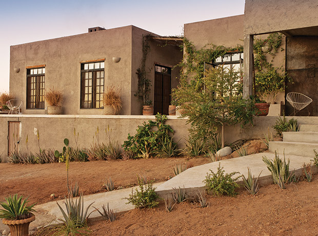 Sala é inspirada na obra de Zé Celso e na exuberância da Amazônia