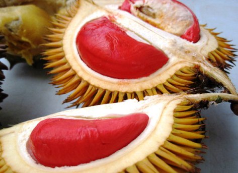 Isi Buah  Durian Berwarna Merah 