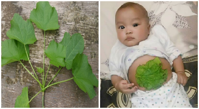 Bunda Wajib Tau!! INILAH Cara Ampuh Untuk Sembuhkan Perut ...
