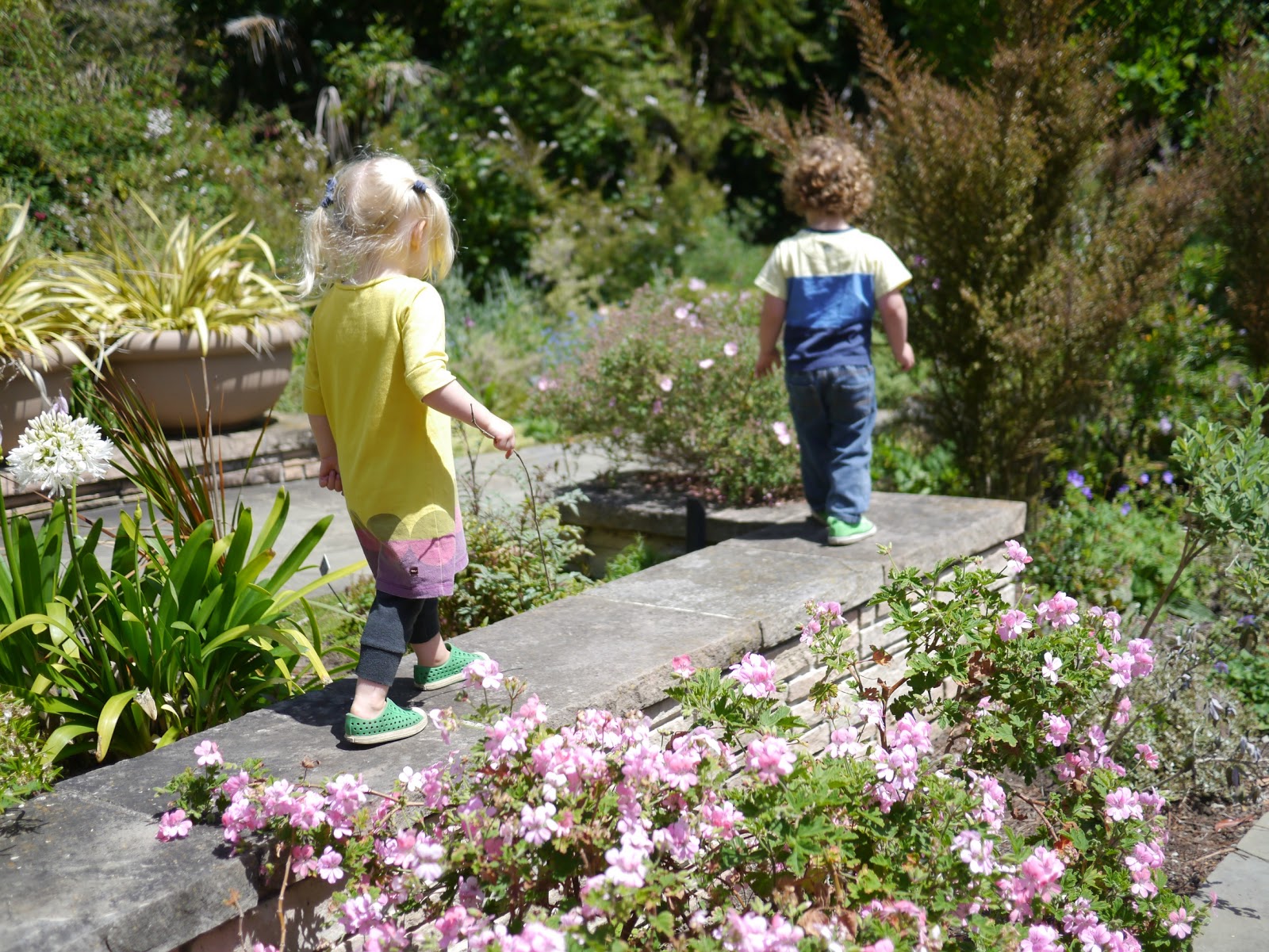 Little Hiccups San Francisco Botanical Gardens