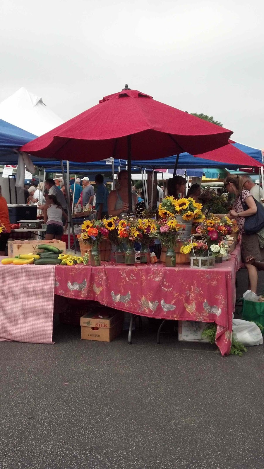 Road trips Bloomington, IN, to Tomah, WI