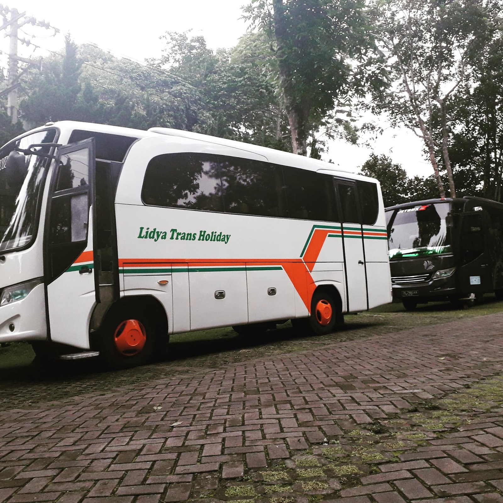 Sewa Bus Pariwisata di Surabaya: Panduan Lengkap Memilih Armada yang Tepat untuk Perjalanan Anda