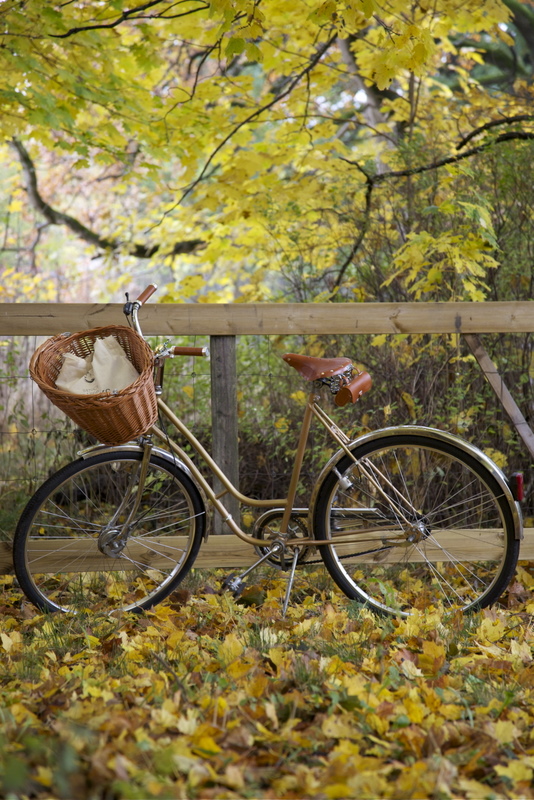 Волшебный домик Лив