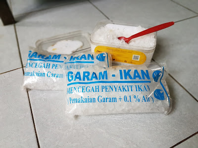 Beri garam ikan