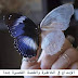 نثر ( لم ينصفني الهوى ) بقلم الأستاذة ياسمين بلقيس نزار نثر ( لم ينصفني الهوى ) بقلم الأستاذة ياسمين بلقيس نزار