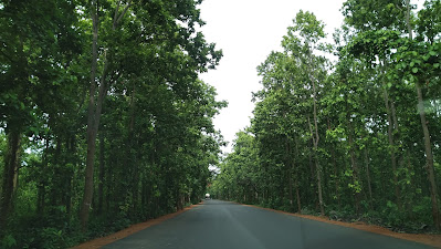 Joypur Forest -- Bankura