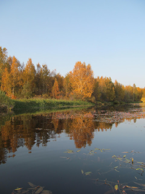 осень на реке