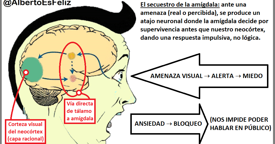 El secuestro de la amígdala El secuestro de la amígdala