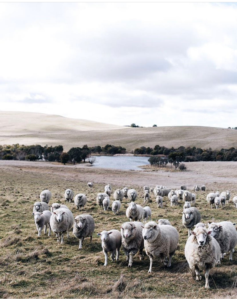 From Instagram | 10 Images With: Photographer Abbie Mellé, Southern Highlands, Australia