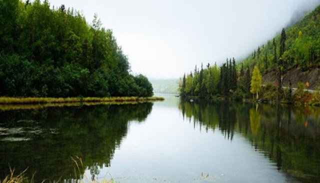 Cabang Ilmu Biologi Beserta Pengertiannya Terlengkap