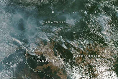 Incêndios da Amazônia estão espalhando uma crise no Brasil e no mundo Incêndios da Amazônia estão espalhando uma crise no Brasil e no mundo