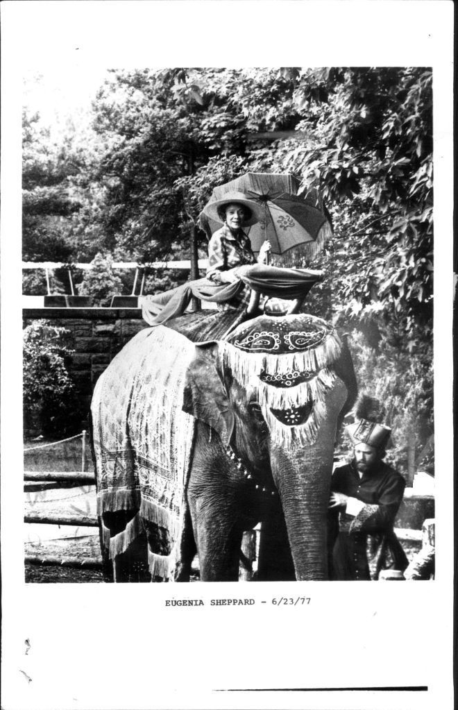 The Circus "NO SPIN ZONE" Bronx Zoo Elephants 1977