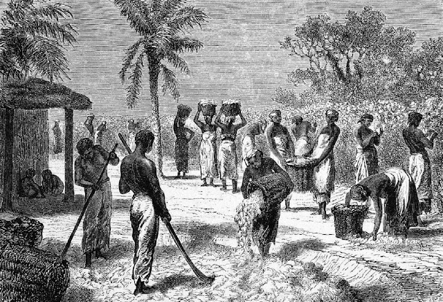 Рабы на плантации юга США, середина XIX века. © Hulton Archive/Getty Images