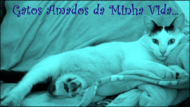 =^.^= Gatos Amados da Minha Vida =^.^=