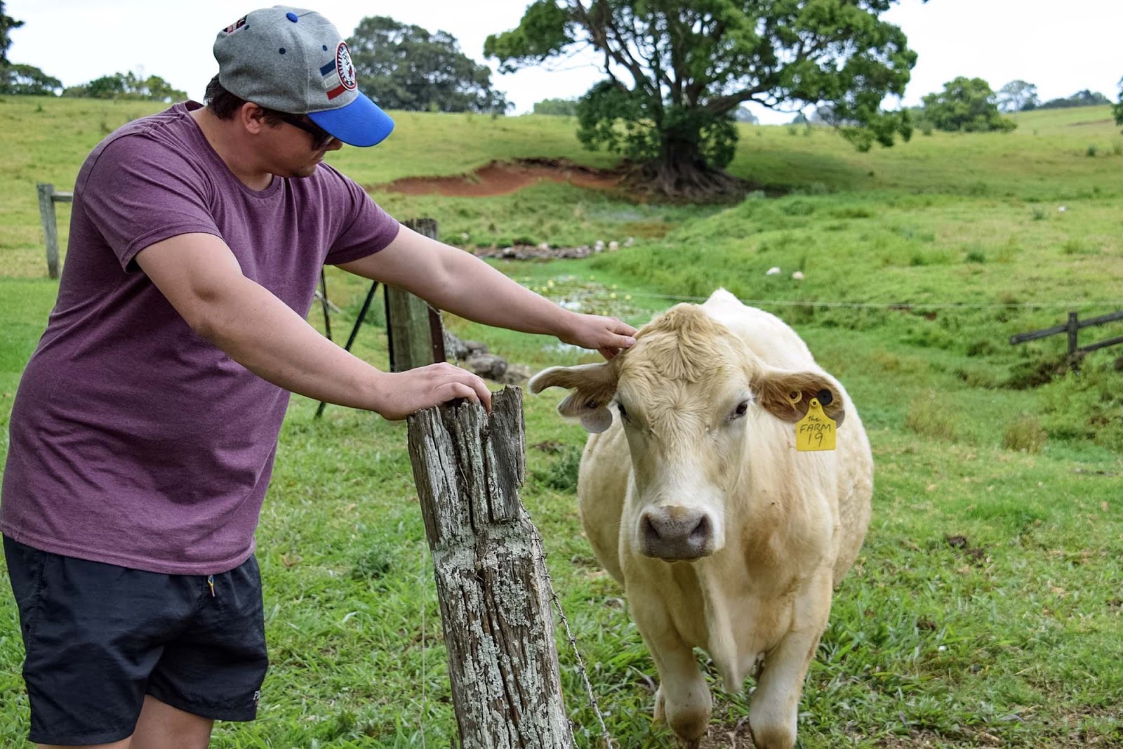 the farm at byron bay
