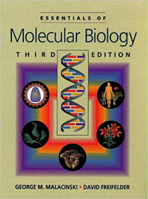 Essentials of Molecular Biology 3rd Edition