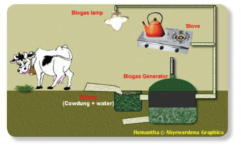 Hambatan Menggunakan Biogas Ilmusosial Id