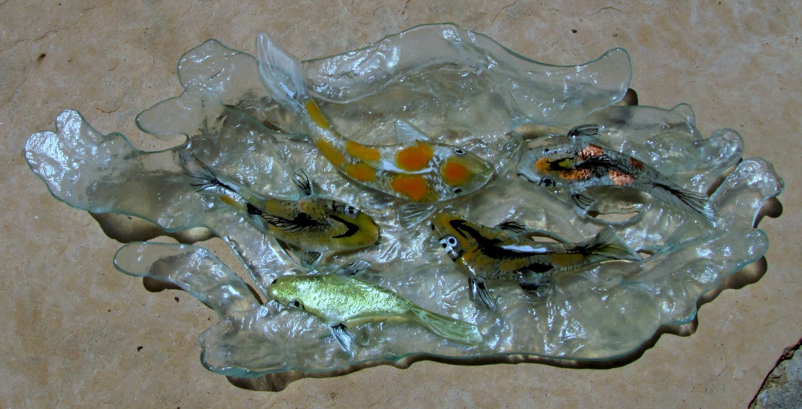 glass window koi pond design
