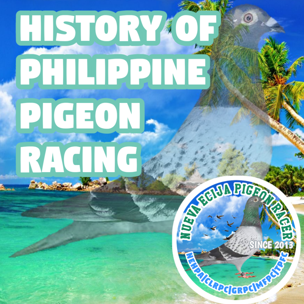 HISTORY OF PHILIPPINE PIGEON RACING