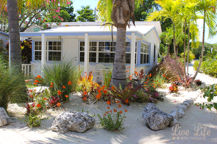 Live Life Be Happy: The Best of Islamorada (The Florida Keys) - Where