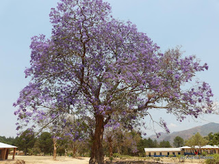 Reisen Afrika Malawi Livingstonia