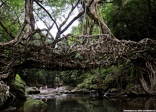 zhivoy most Монополизация как фиаско рынка это
