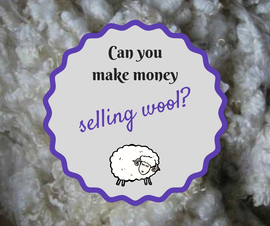 The Livestock Conservancy in Action Can you make money selling wool?
