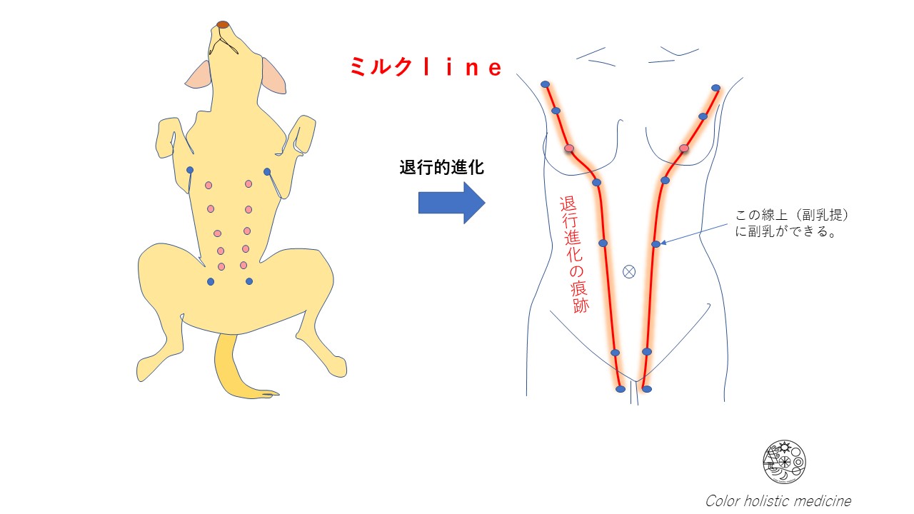 ソース画像を表示