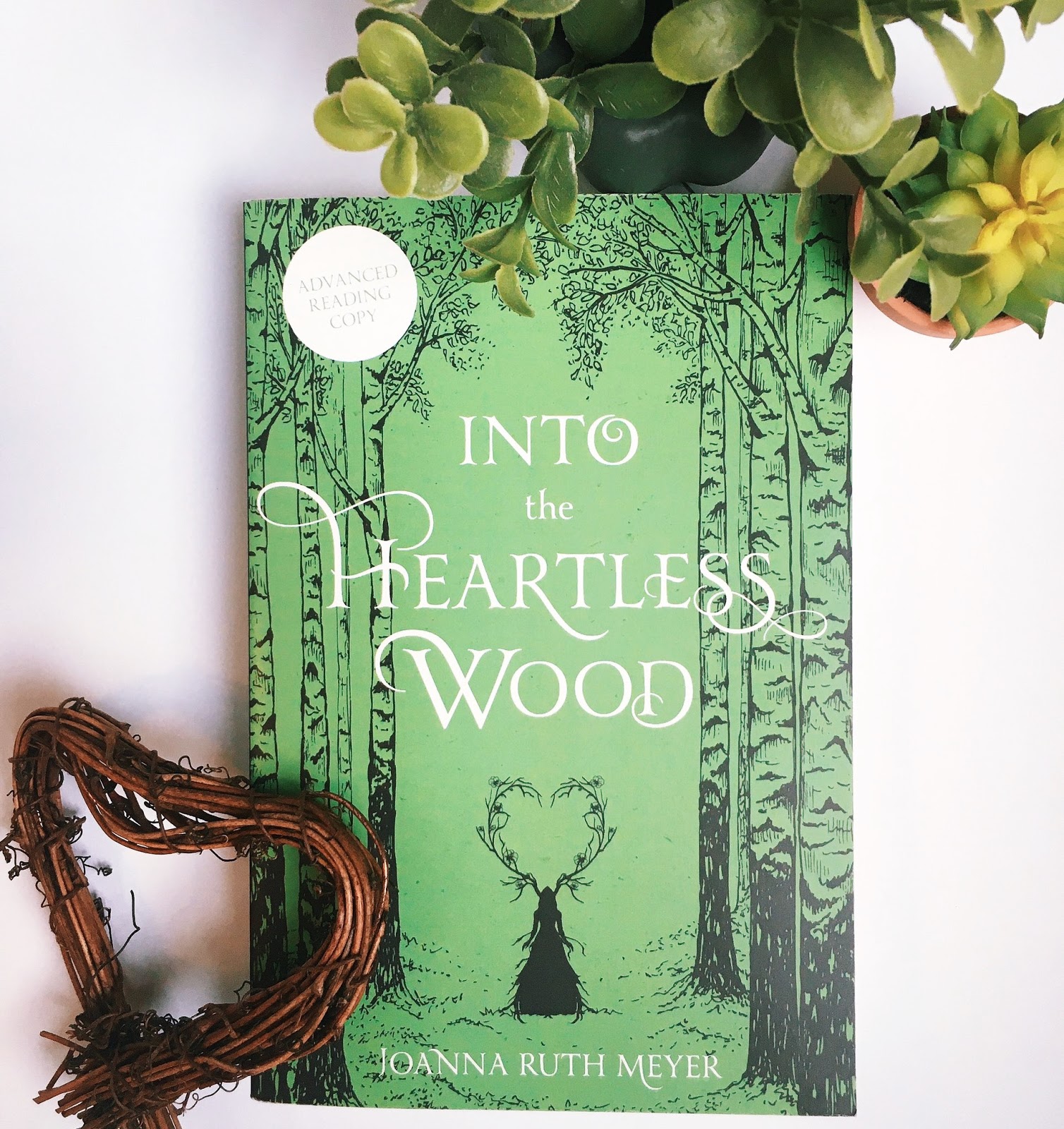 Review Into the Heartless Wood by Joanna Ruth Meyer Hello, Chelly