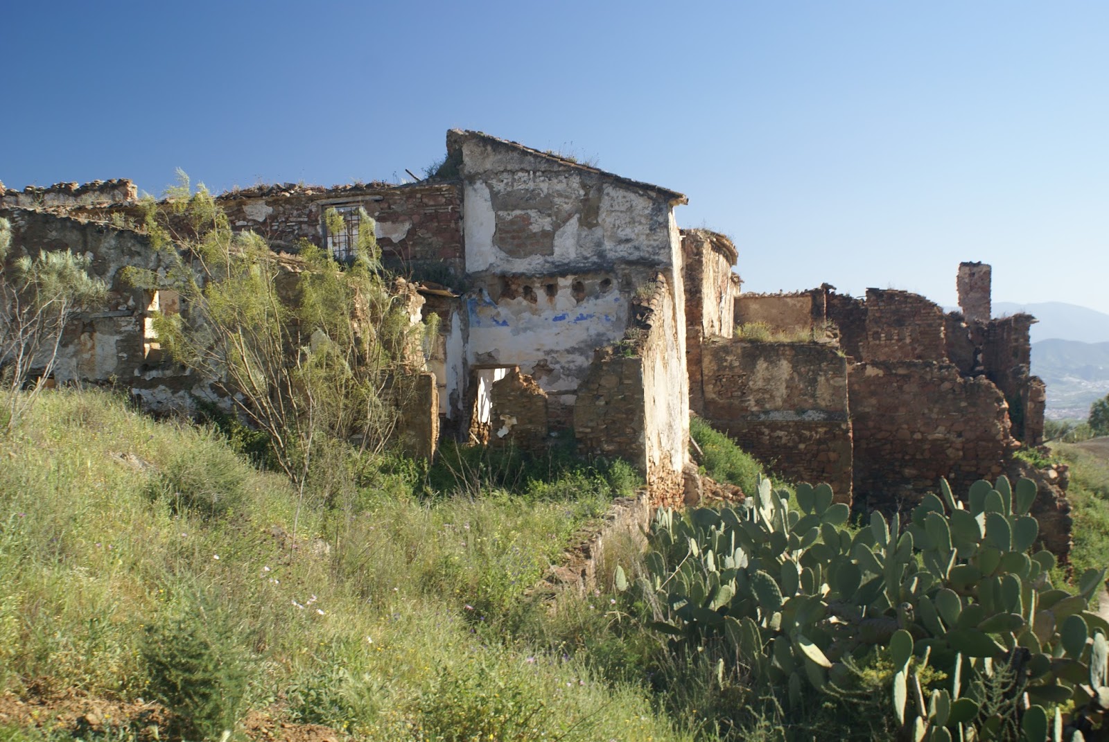 Fotografiando el Pasado LA
