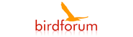 BirdForum