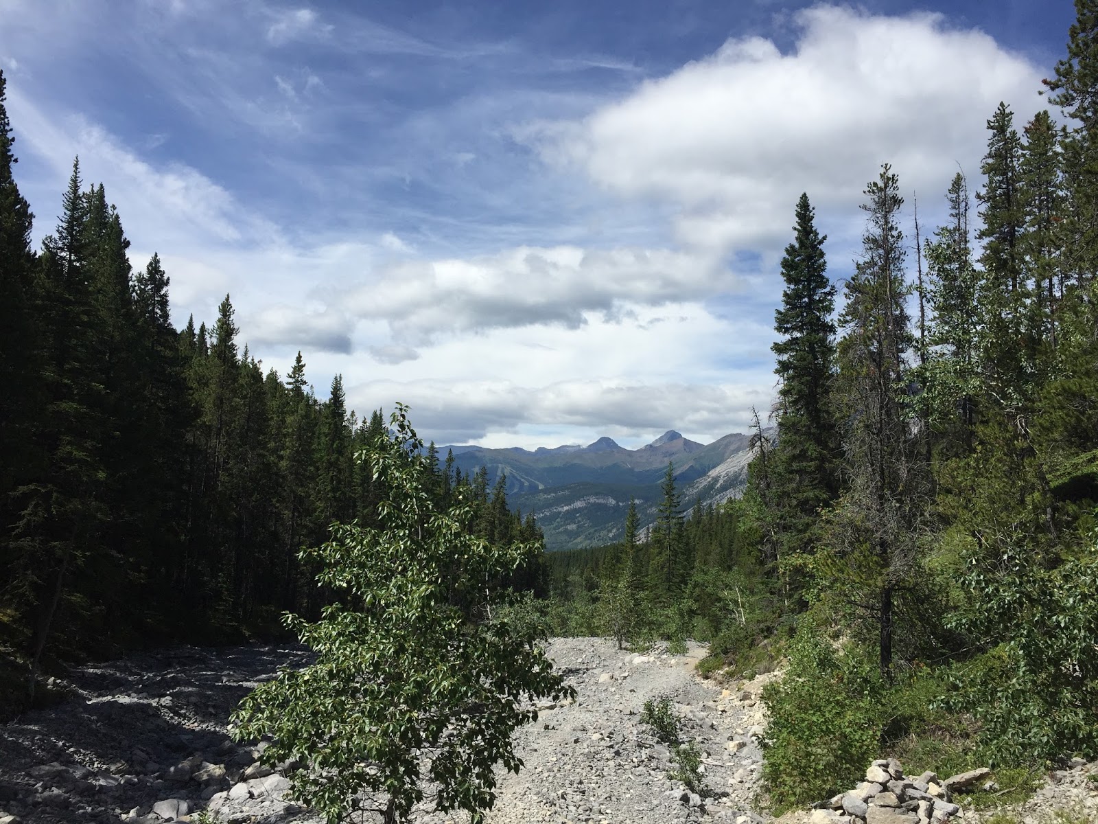 Her Mountain Adventures Baldy Pass Hike