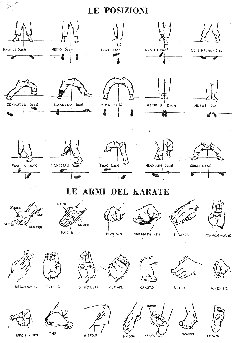 Koleksi Gambar Karate Shotokan Kata - Info Karate