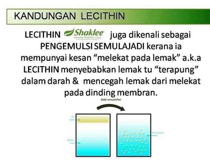 Everything and Anything ! Fungsi Lecithin Shaklee untuk Kurus