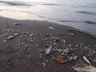 Banyak Ikan Mati Dipantai Mbayuran, Diduga Tercemar Limbah 2 WhatsApp%2BImage%2B2021 03 18%2Bat%2B20.46.36