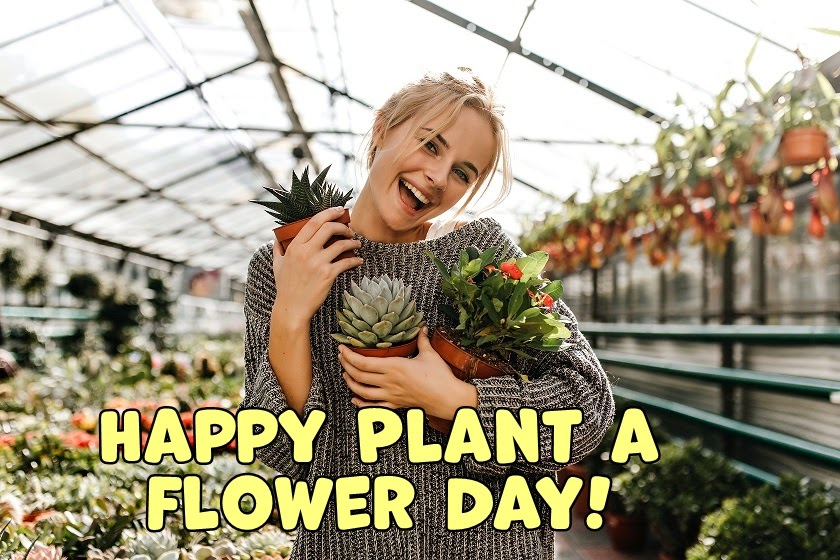 Animations a2z Plant a Flower Day March 12