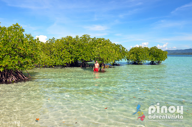 Masbate Tourist Spots Buntod Reef Marine Sanctuary and Sandbar