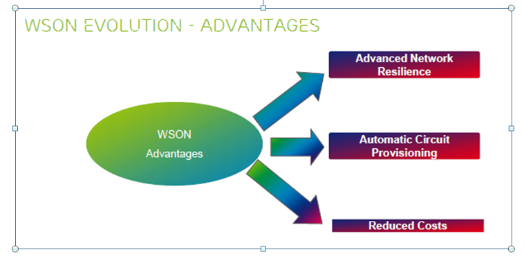 OTN Testing : Concept of WSON