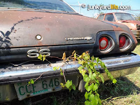 1973 Chevy Chevelle SS in a junkyard next to a 1981 Renault LeCar.